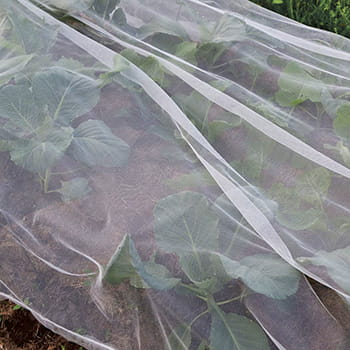 Insektenschutznetz Ryom 2 x 5 m - Kulturschutznetz mit 6 Heringen