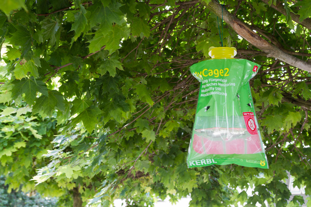 Fliegenfalle Kerbl FlyCage2 - Giftfrei und wirksam