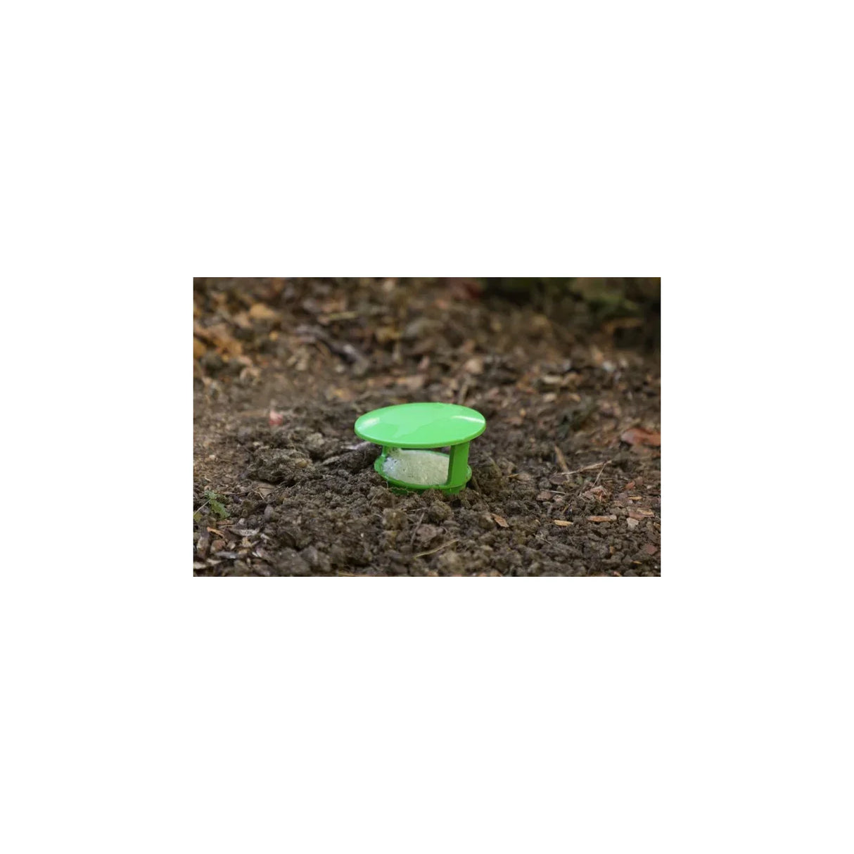 Nacktschneckenfalle / Schneckenfalle "ZIT"
