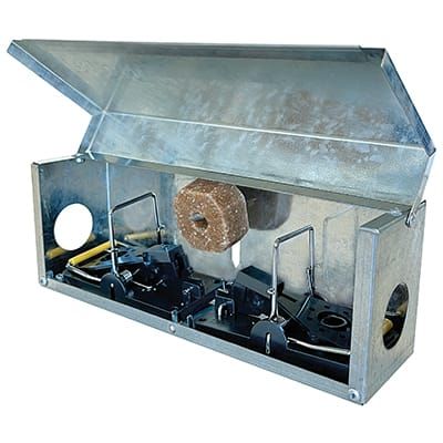 Tunnelbox Ryom für Mäuse, Modell 2 - Mit 2 Schlagfallen