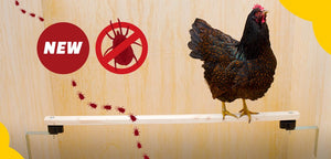 Anti-Rote-Vogelmilbe-Set - Vogelmilben natürlich vermeiden