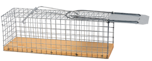 Rattenfalle Pico